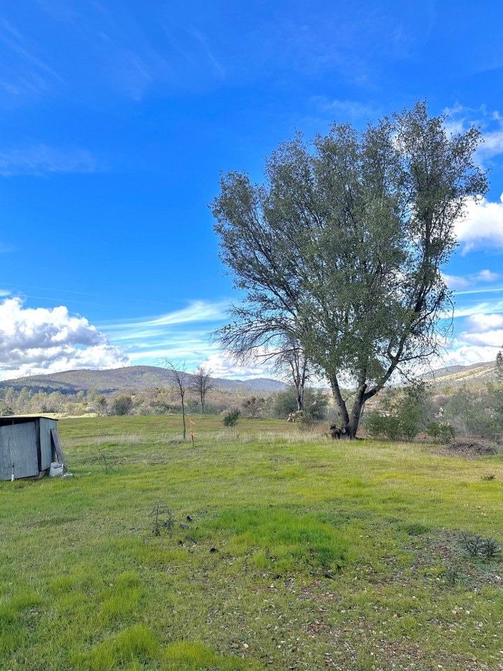 6481 Highway 49 N