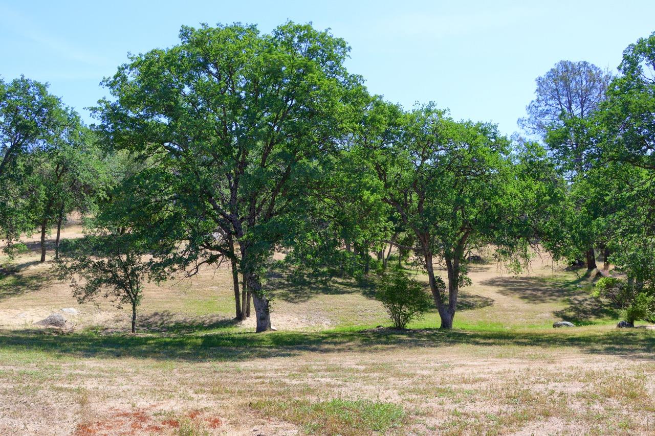 3437 Windy Hollow Road