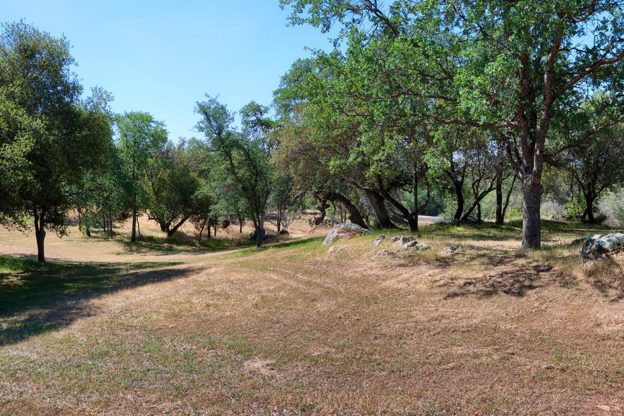 3437 Windy Hollow Road