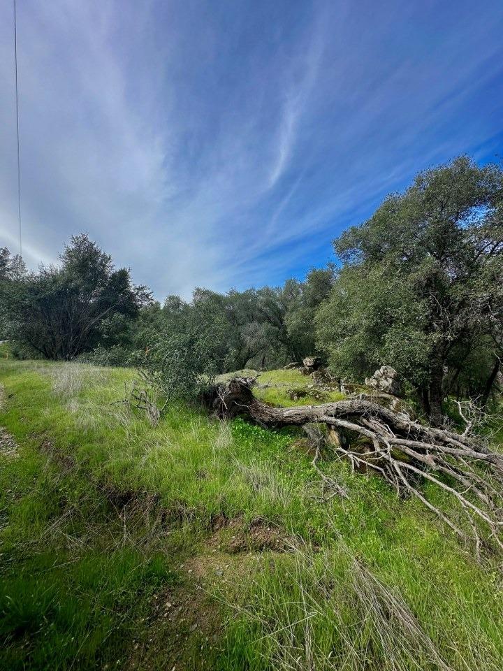 4260 Miwuk Road