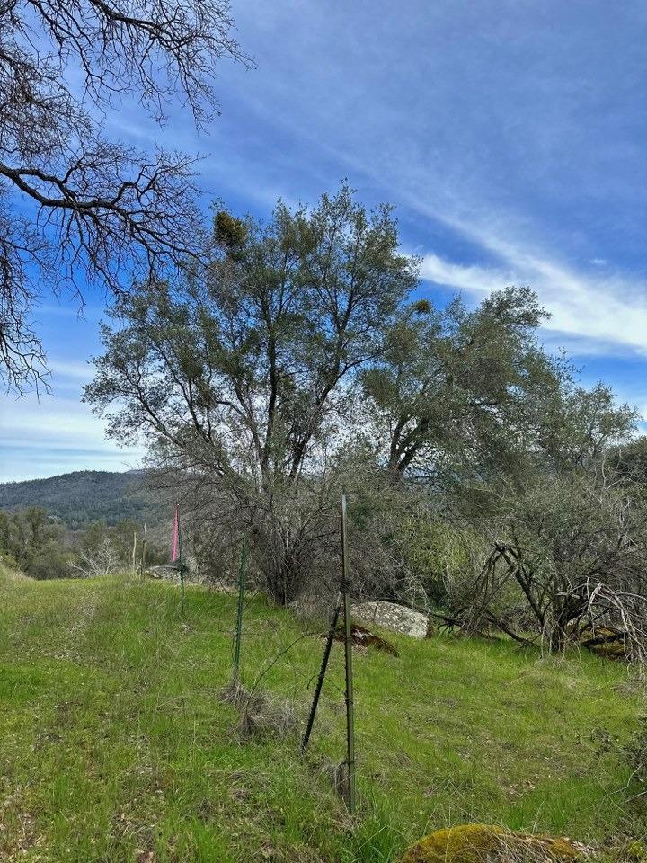 4260 Miwuk Road