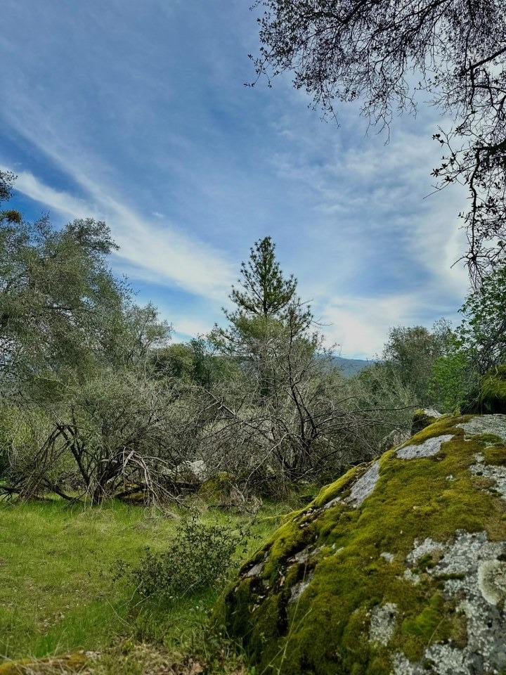 4269 Miwuk Road
