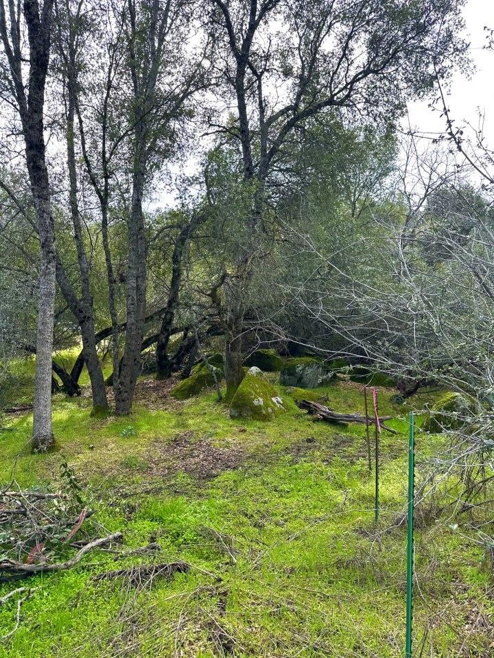 4269 Miwuk Road