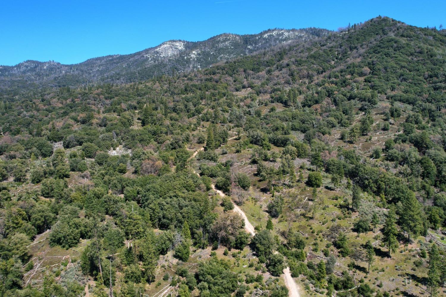 5709 Pilot Peak Road