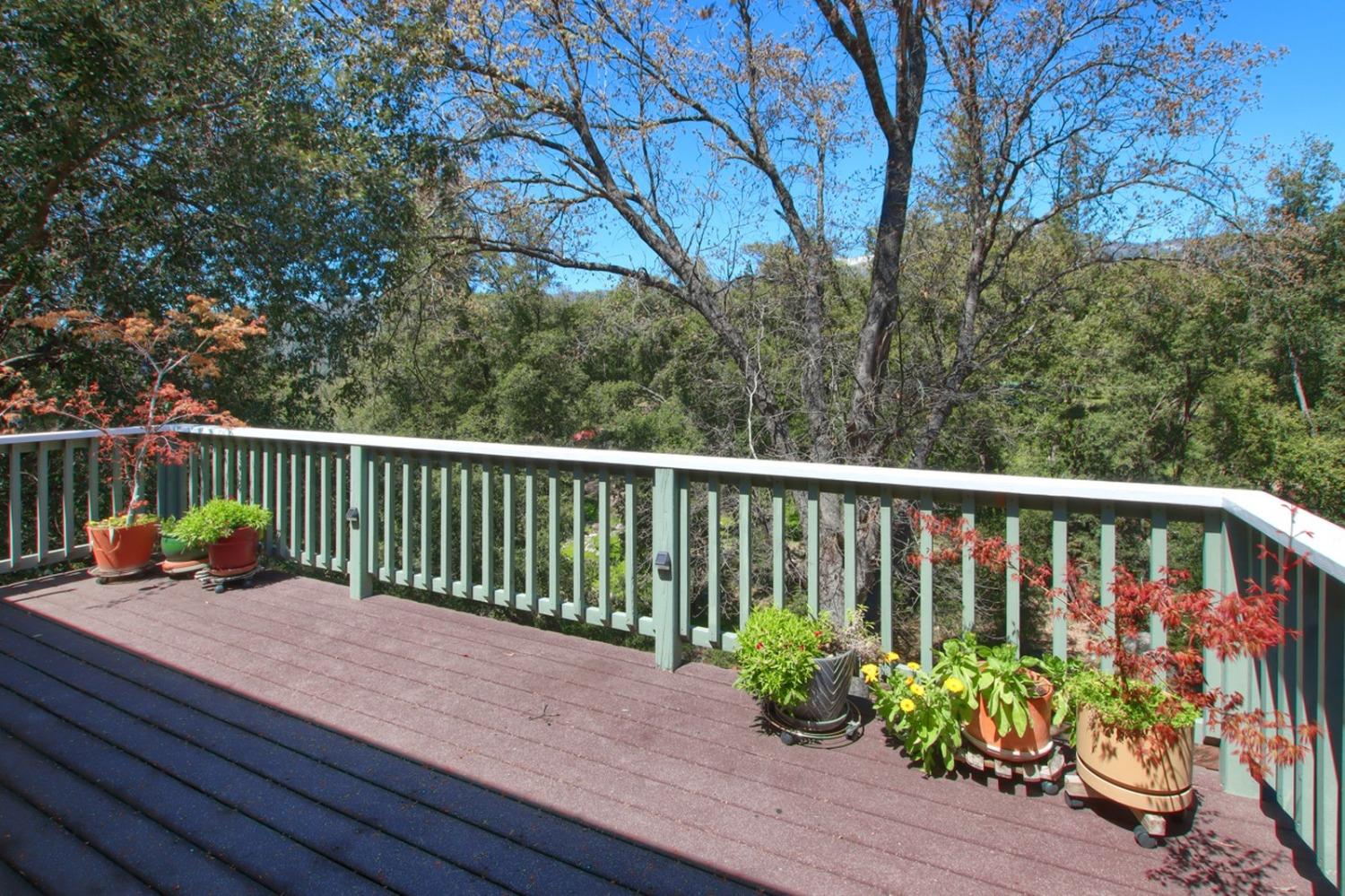 5709 Pilot Peak Road