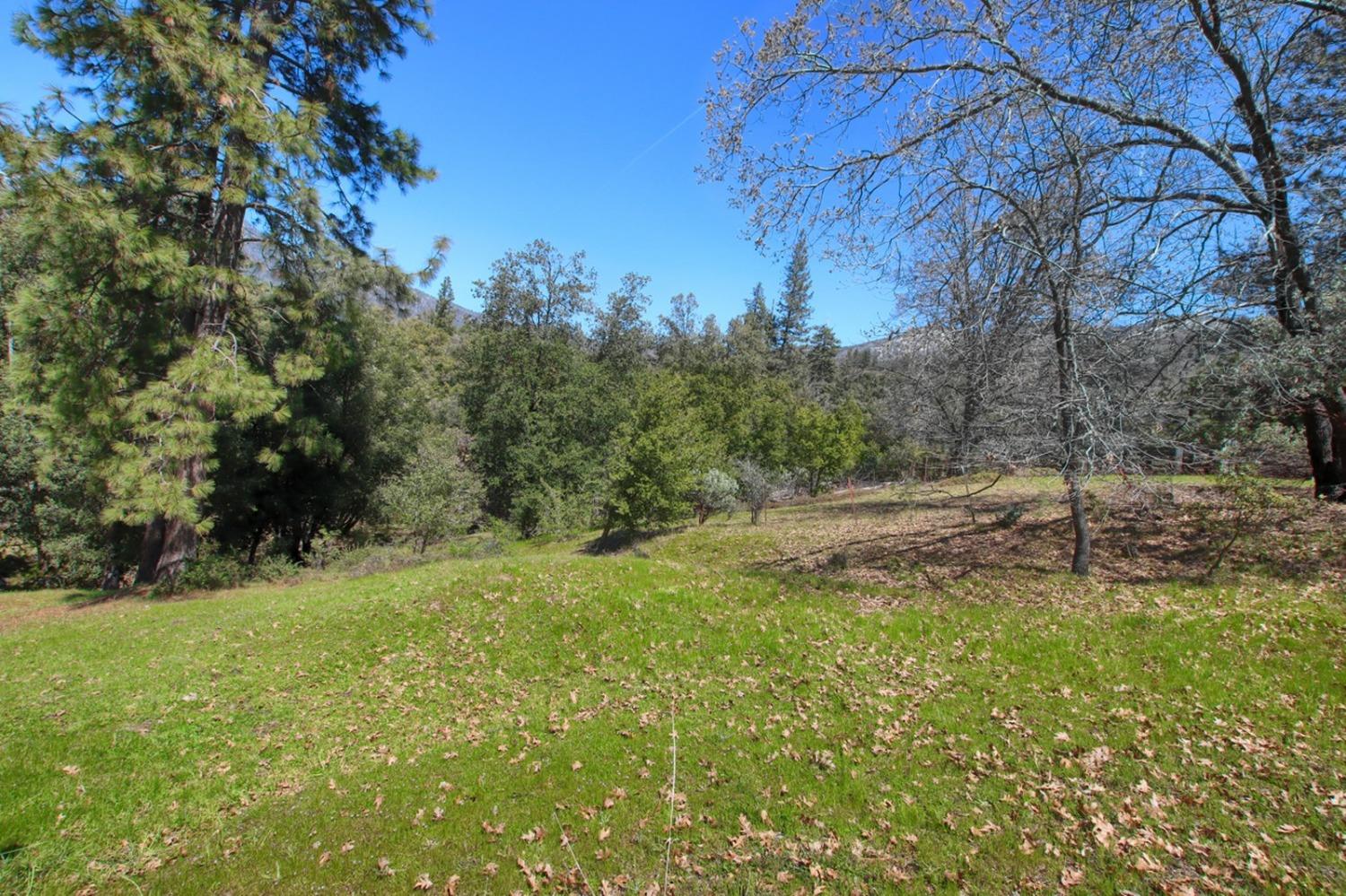 5709 Pilot Peak Road