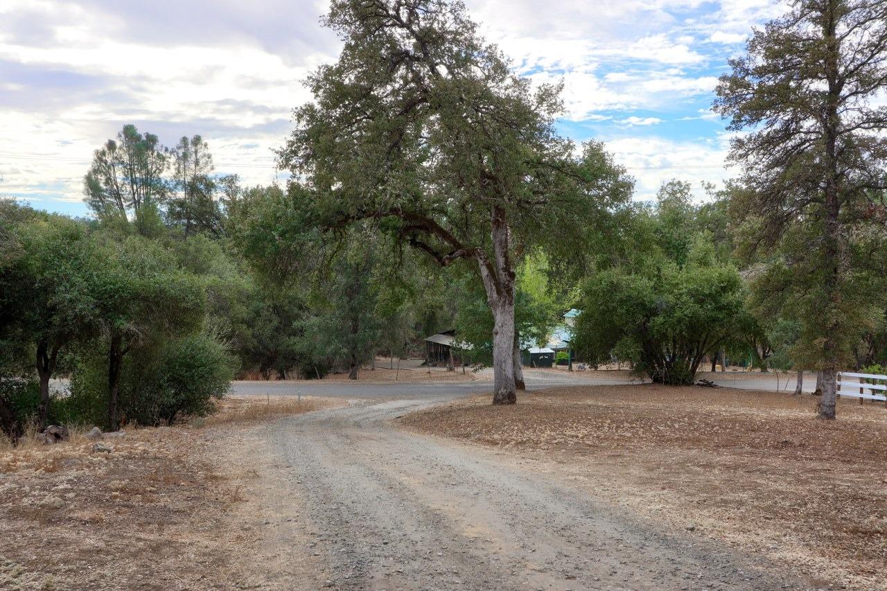 3848 Owl Creek Road