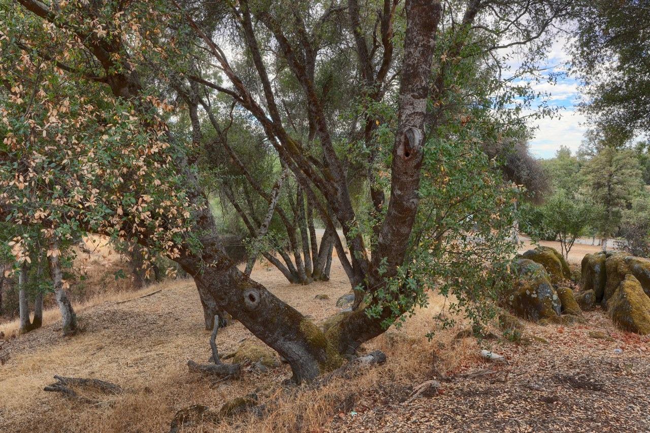 3848 Owl Creek Road
