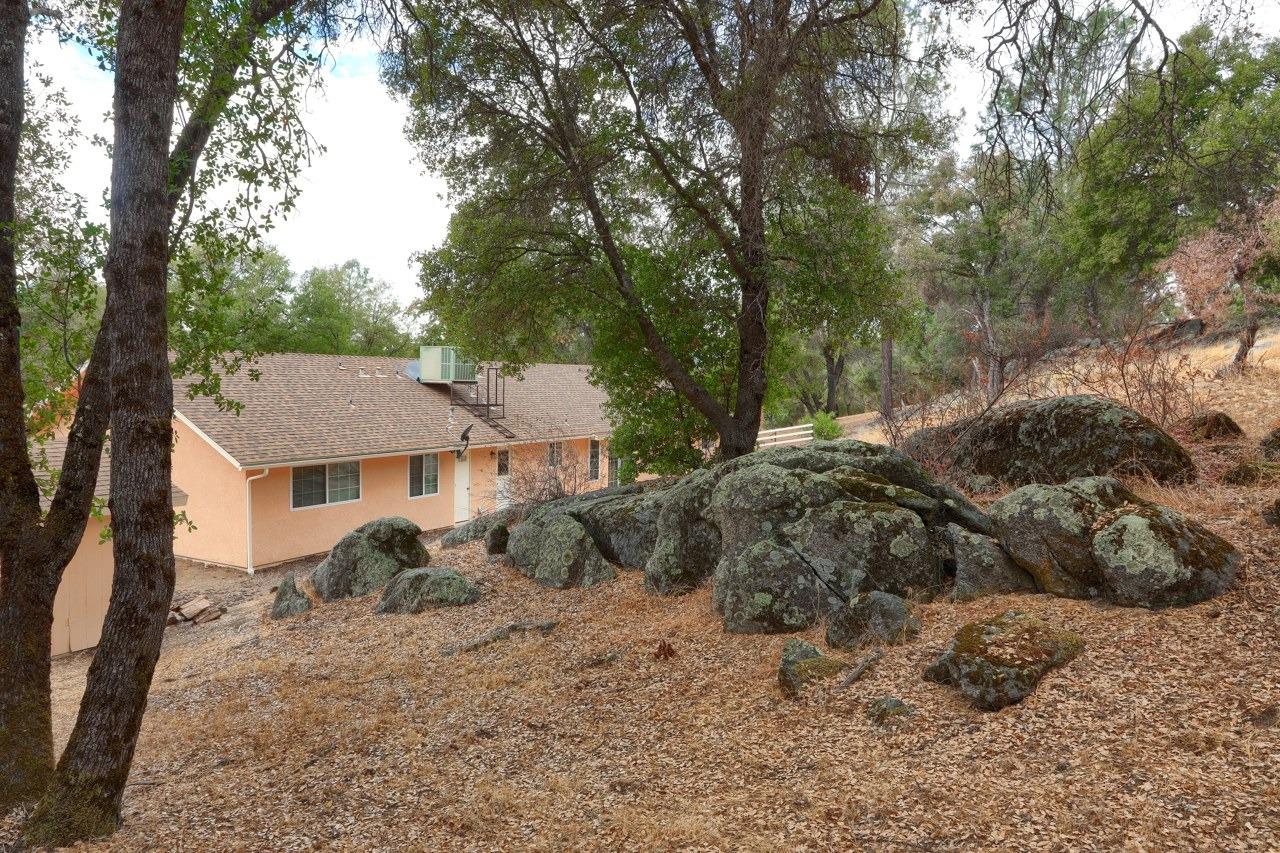 3848 Owl Creek Road