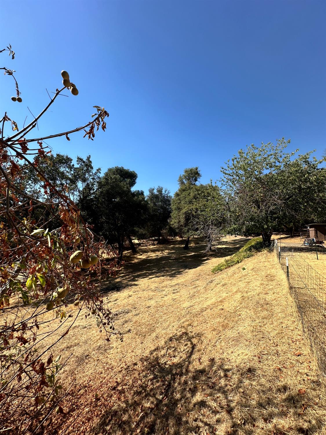 40845 Jean Road E