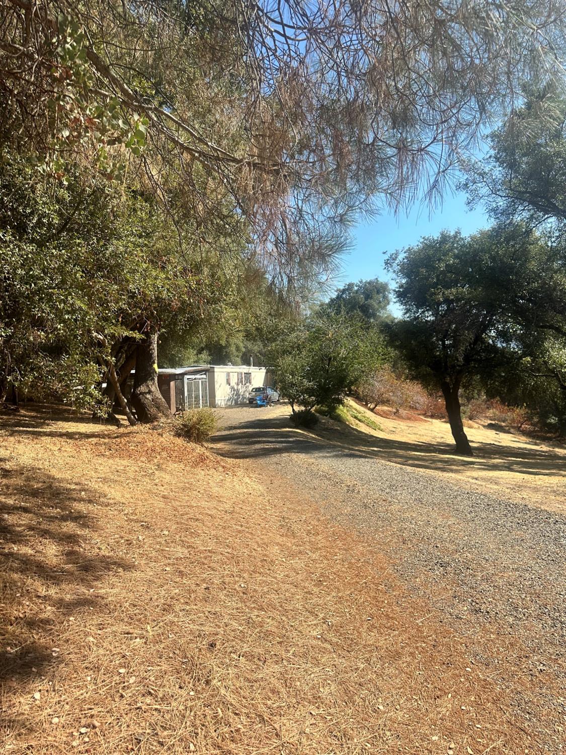 40845 Jean Road E