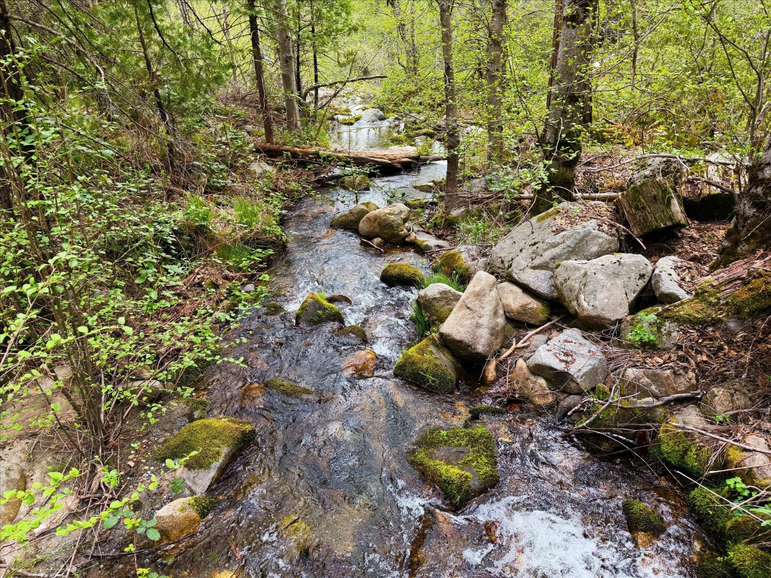 6132 Chowchilla Mountain Road