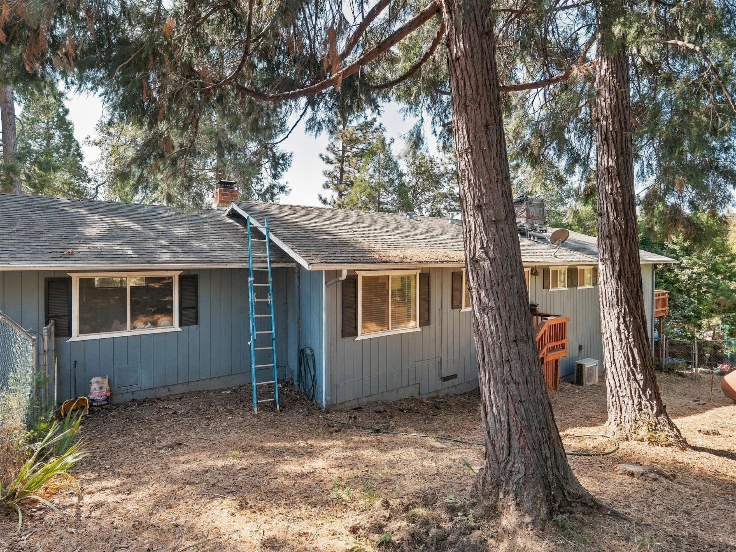 Blue-gray house among tall trees, with a ladder leaning against its roof.