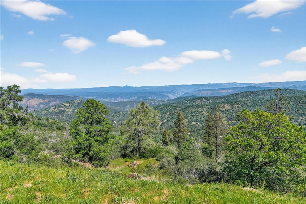 5851 Mount Bullion Ridge
