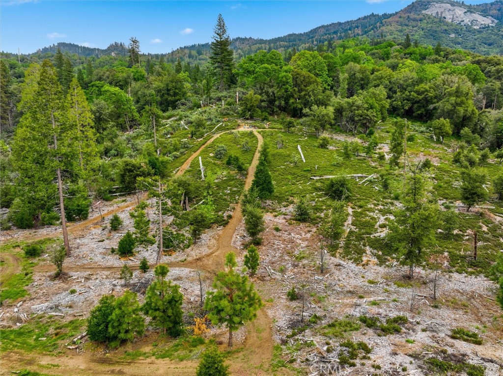 6132 Chowchilla Mountain