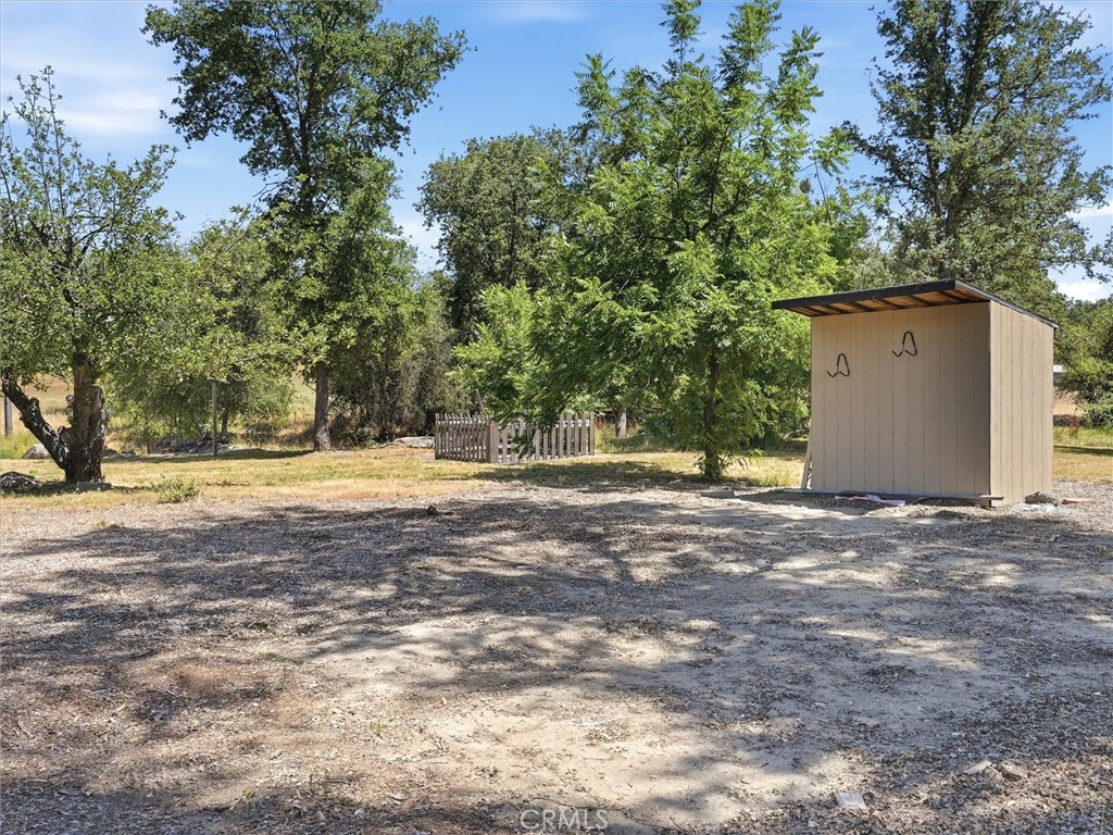 Gravel yard with a small beige shed beneath mature trees.