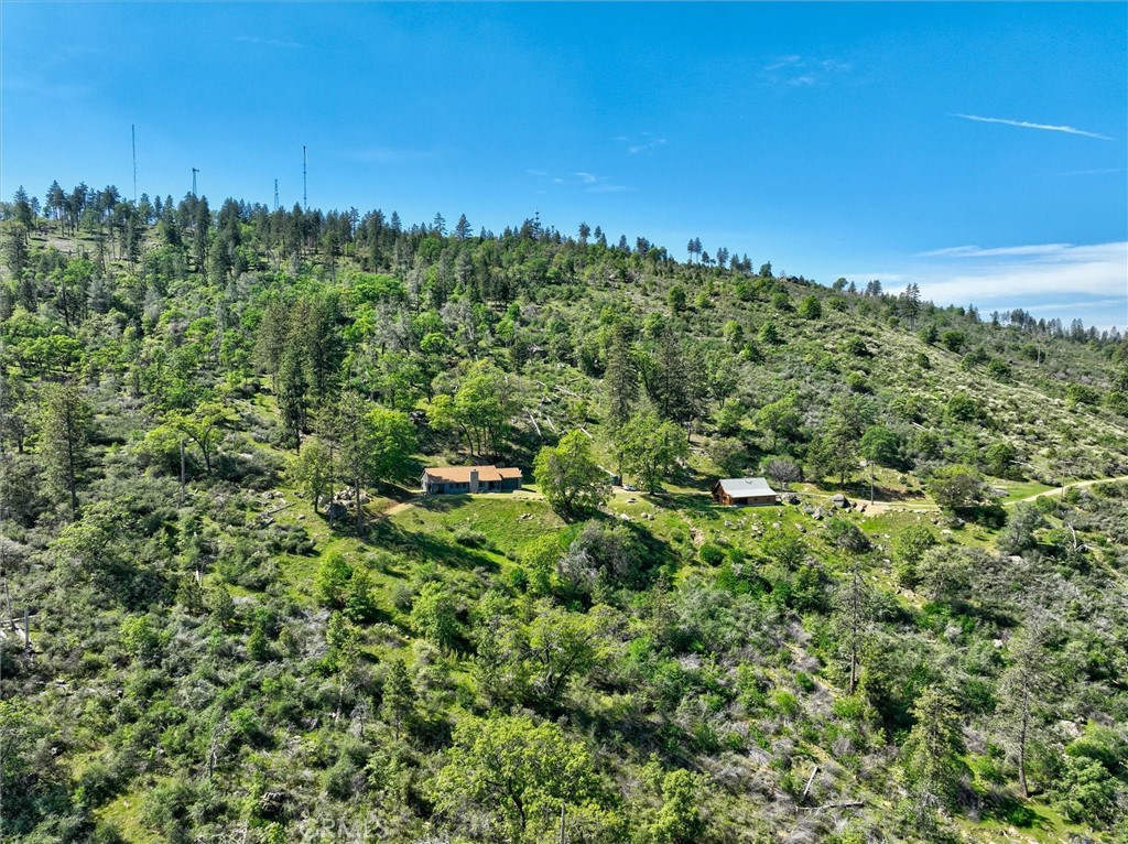 Aerial view of two buildings on a green, wooded hillside beneath a clear blue sky.