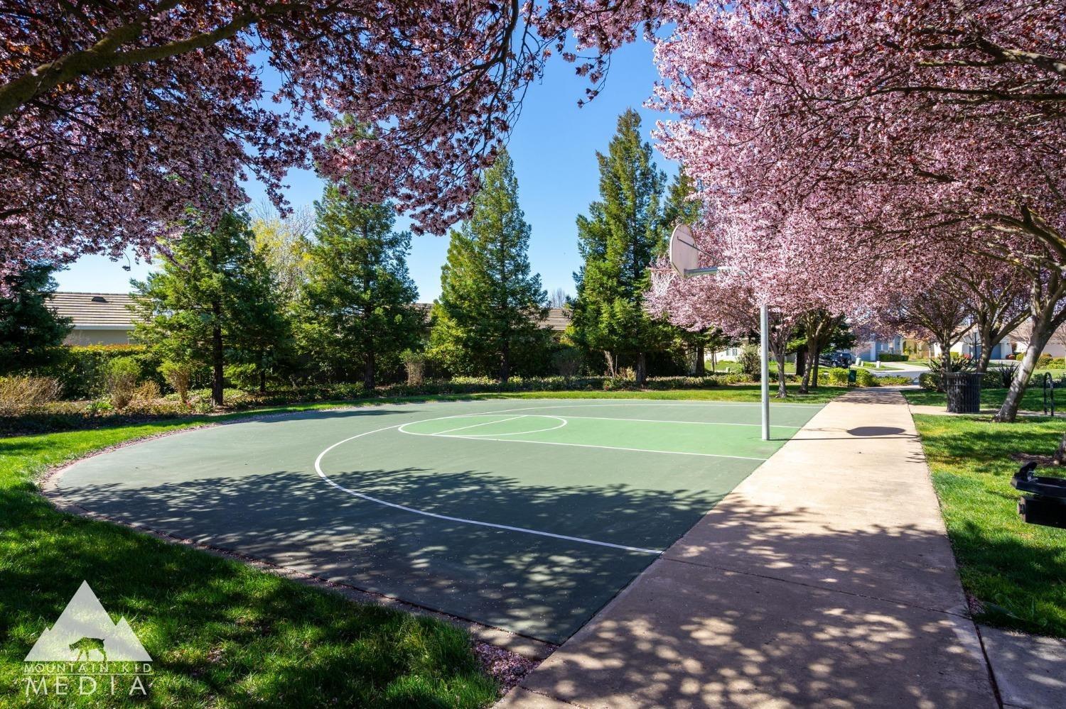 2624 Heritage Park Lane