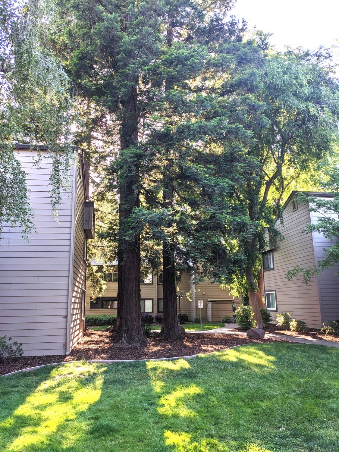 3715 Tallyho Drive 143