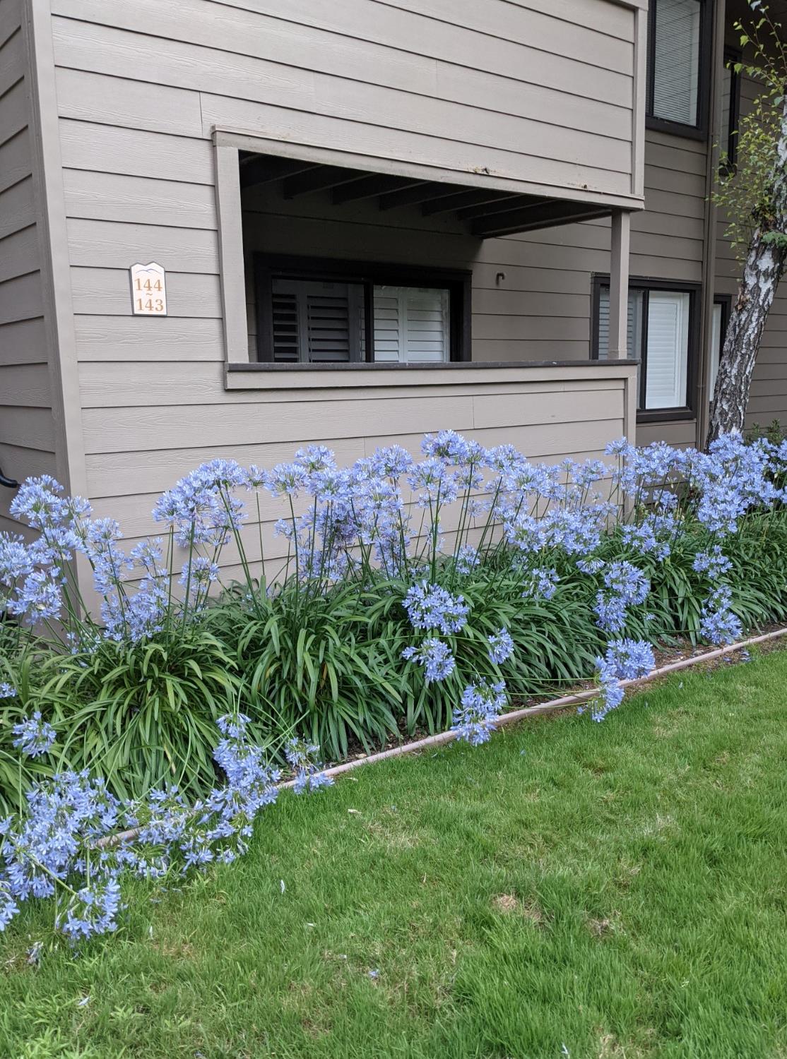 3715 Tallyho Drive 143