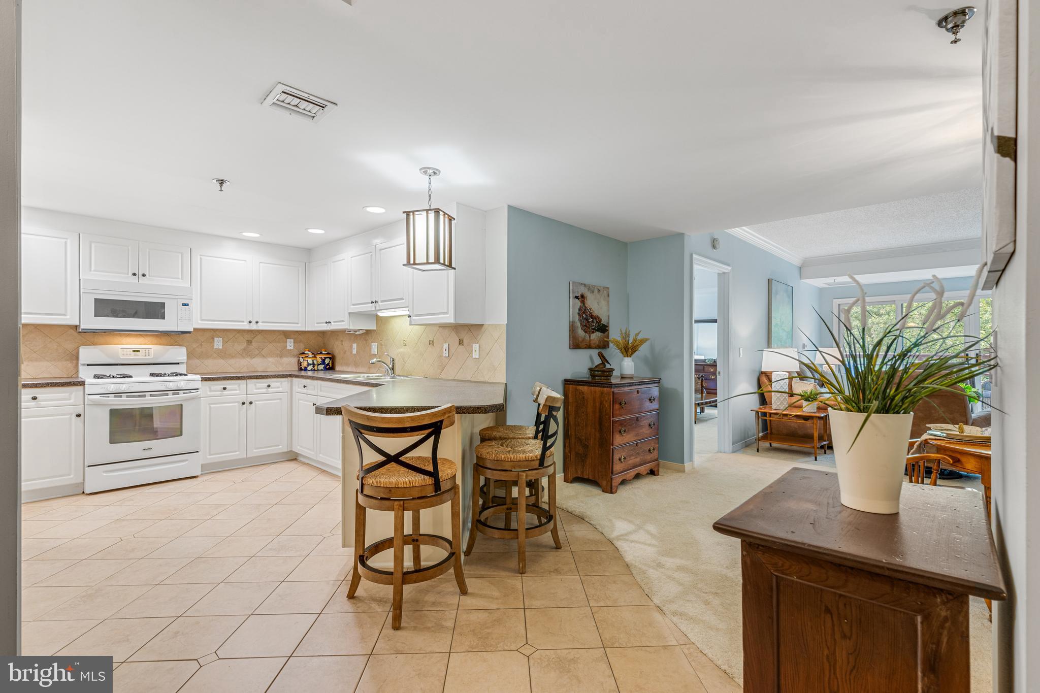 602 McKinsey Park Dr #505