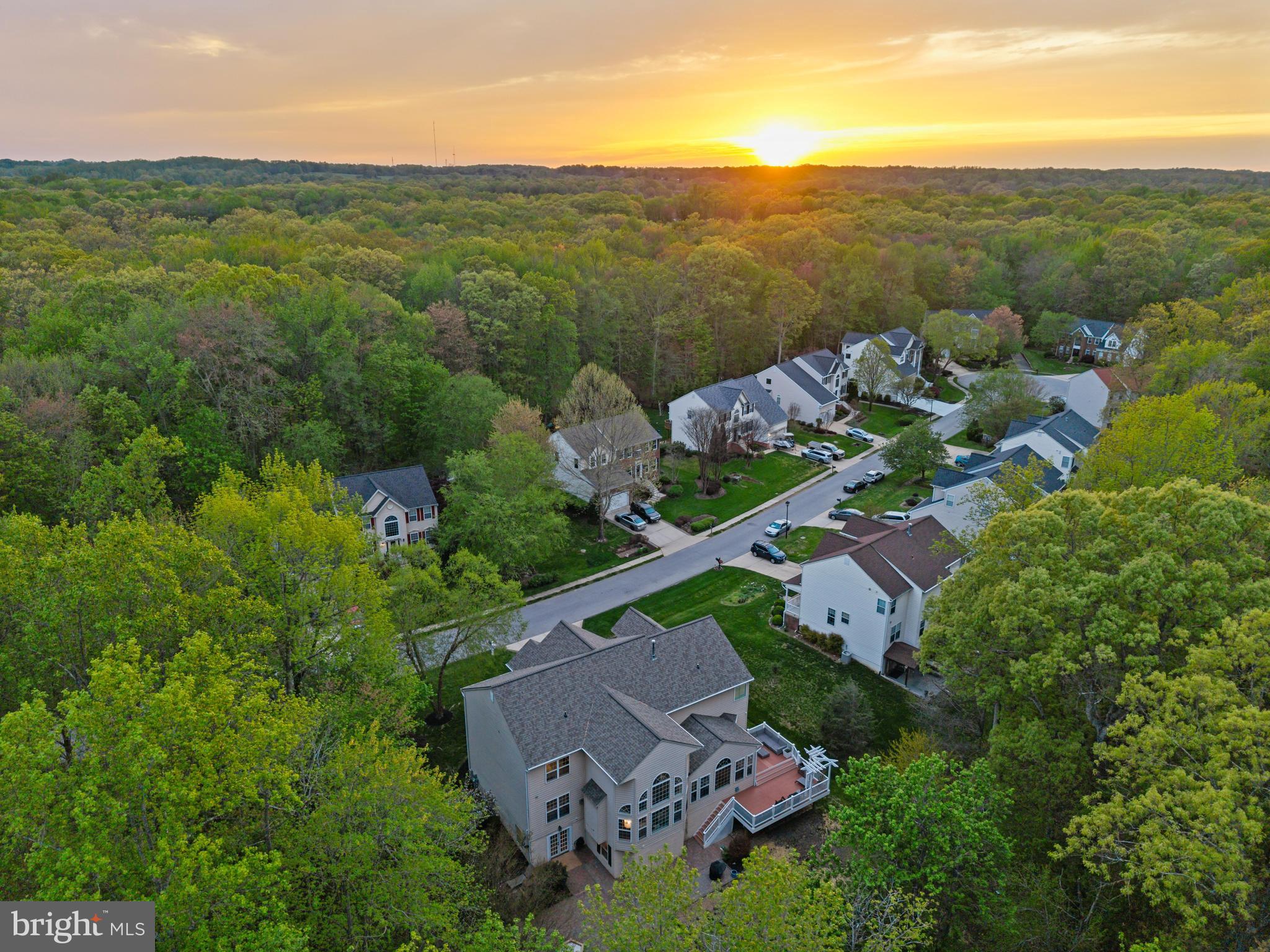 605 Lavender Ct