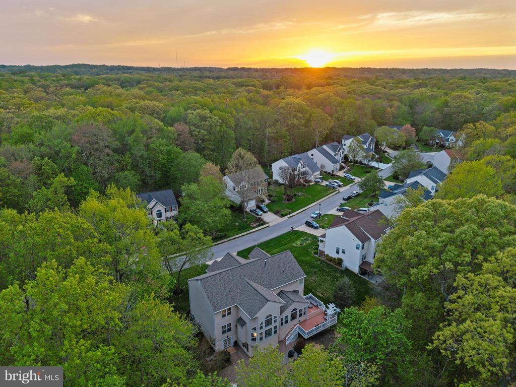 605 Lavender Ct
