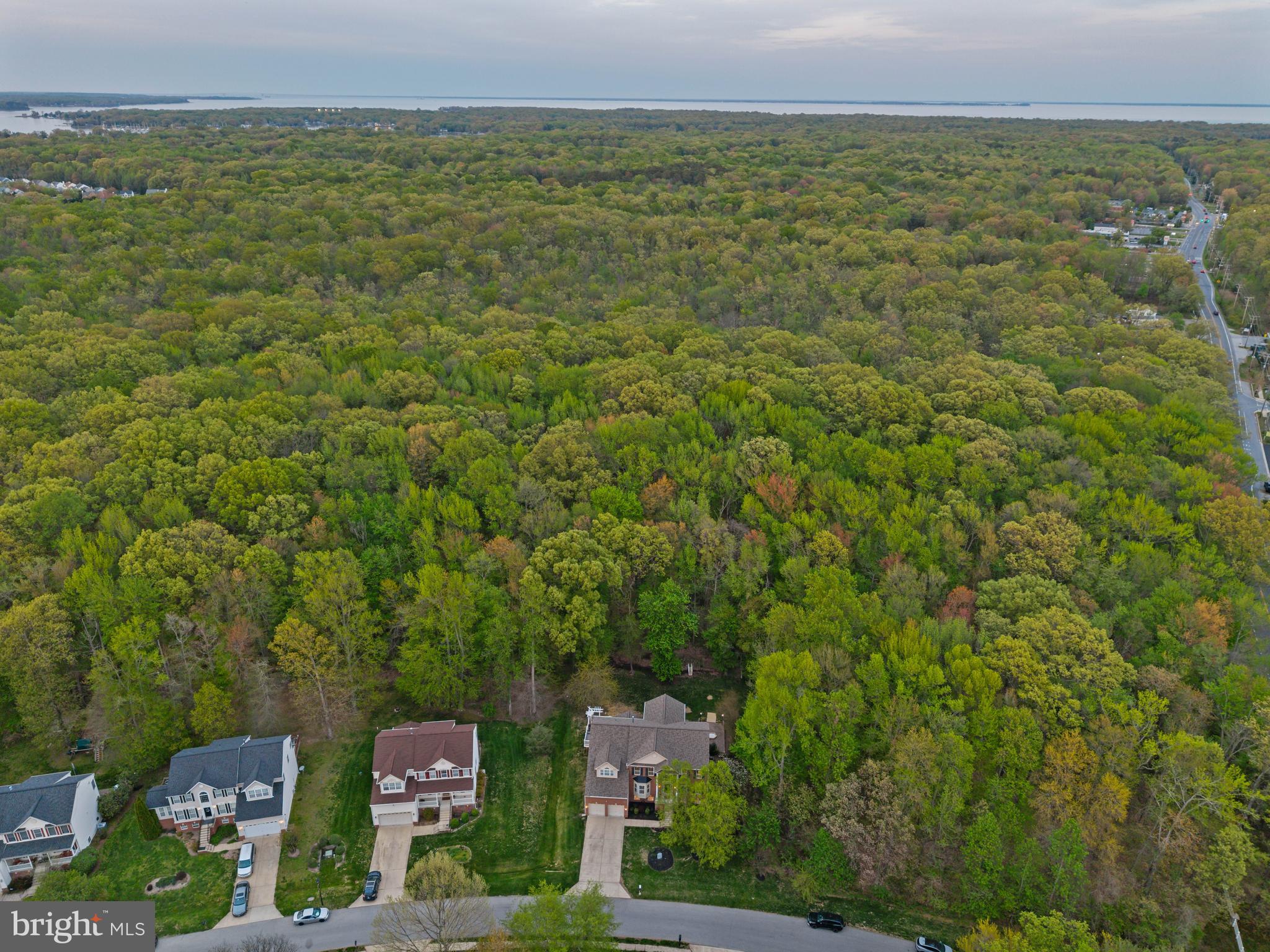 605 Lavender Ct
