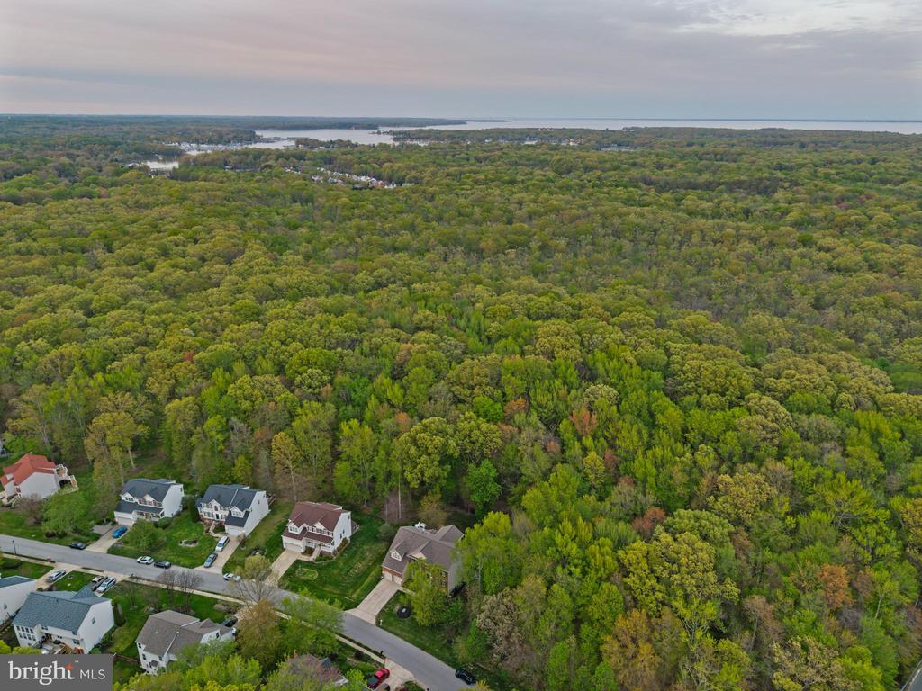 605 Lavender Ct