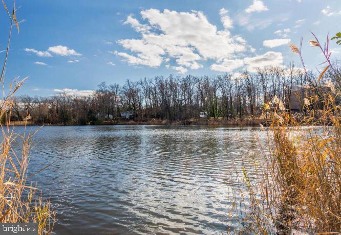 1127 Lake Heron Dr #3b