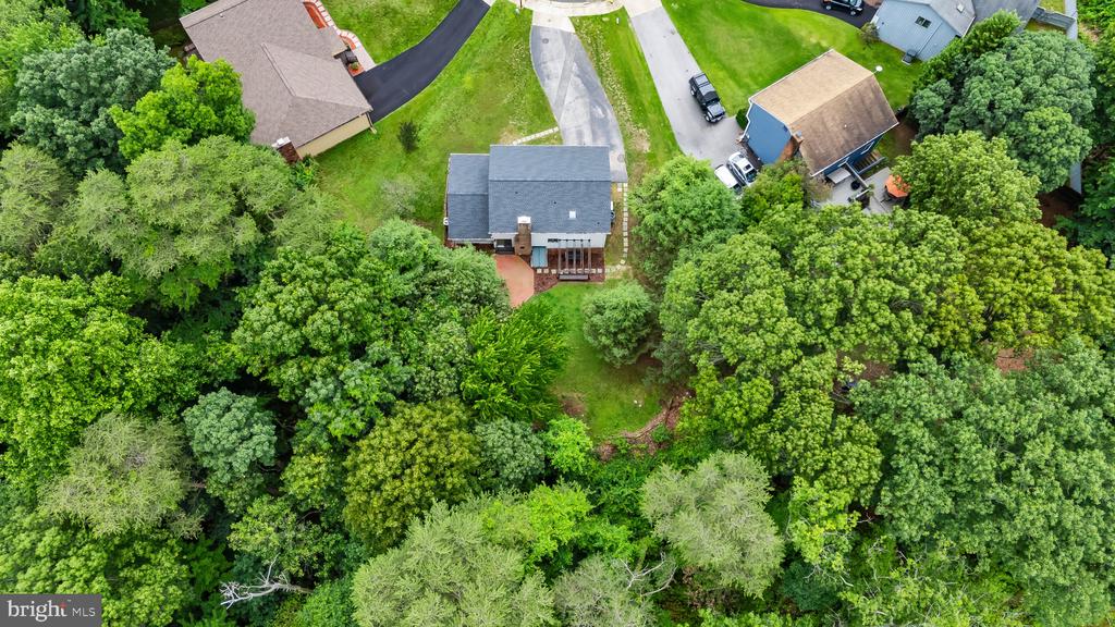 602 Sweet Brush Ct