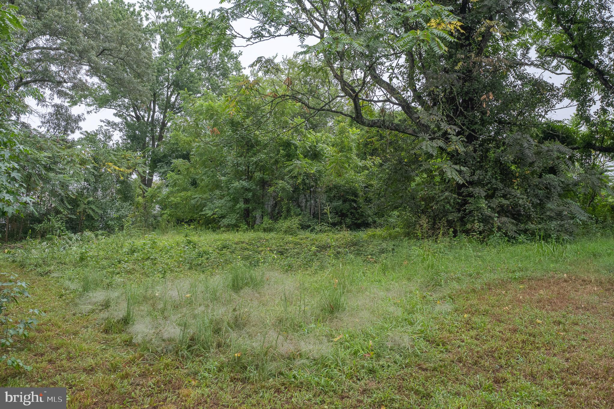 7343 GREEN ACRES DRIVE 2