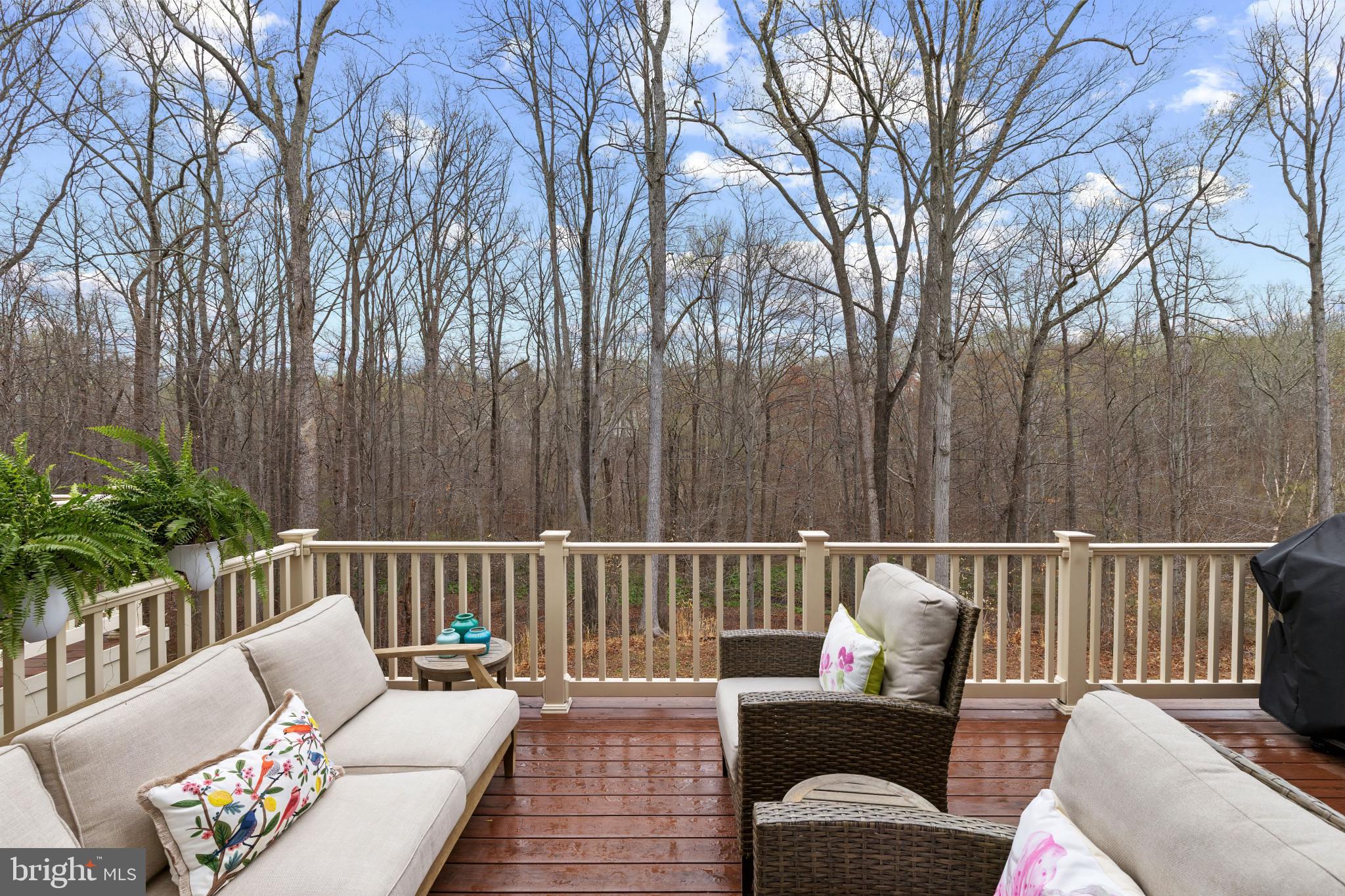 1117 CANTERWOOD PLACE