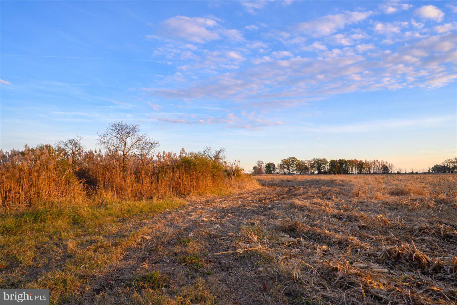 22076 Napley Green Rd