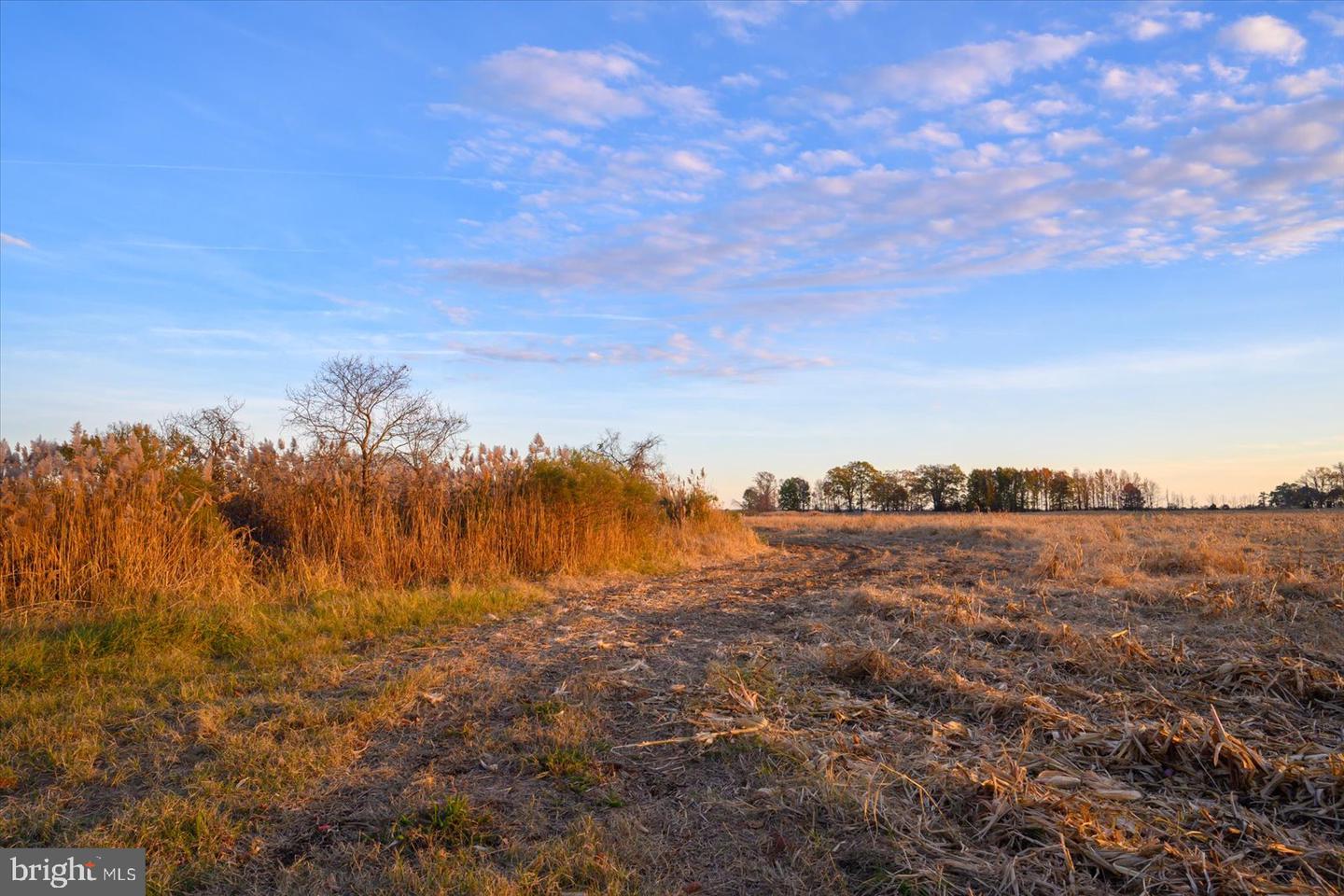 22076 Napley Green Rd