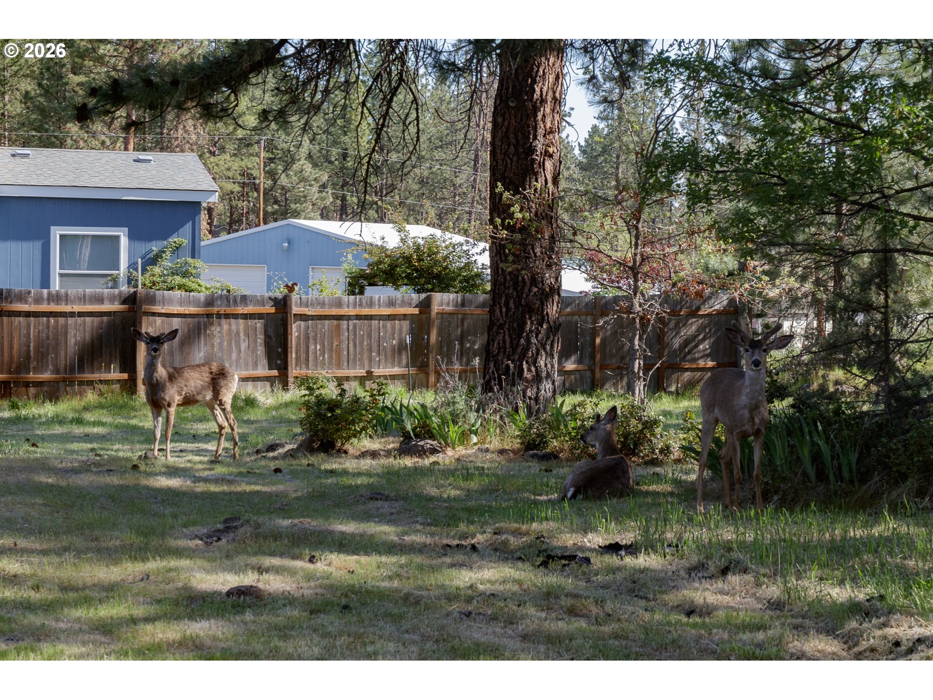 245 S MIKE RD