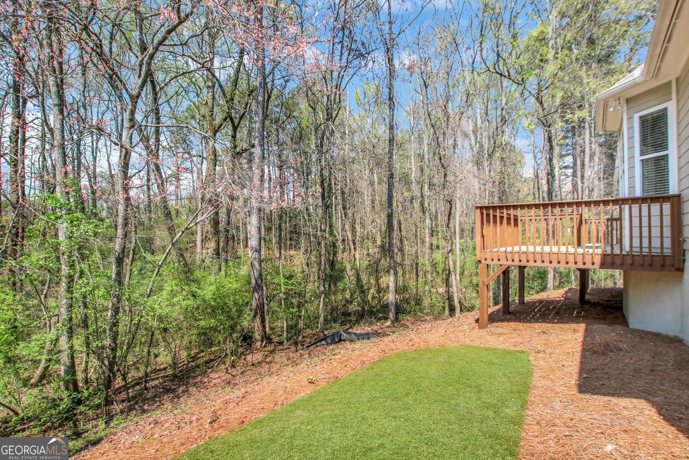 3375 Olivia Court