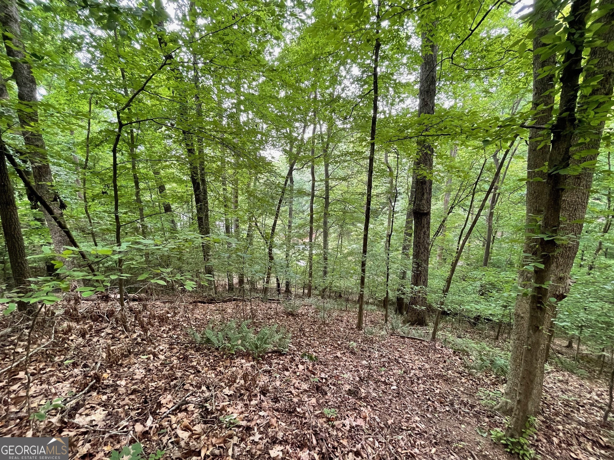 LOT 1682 Point Road