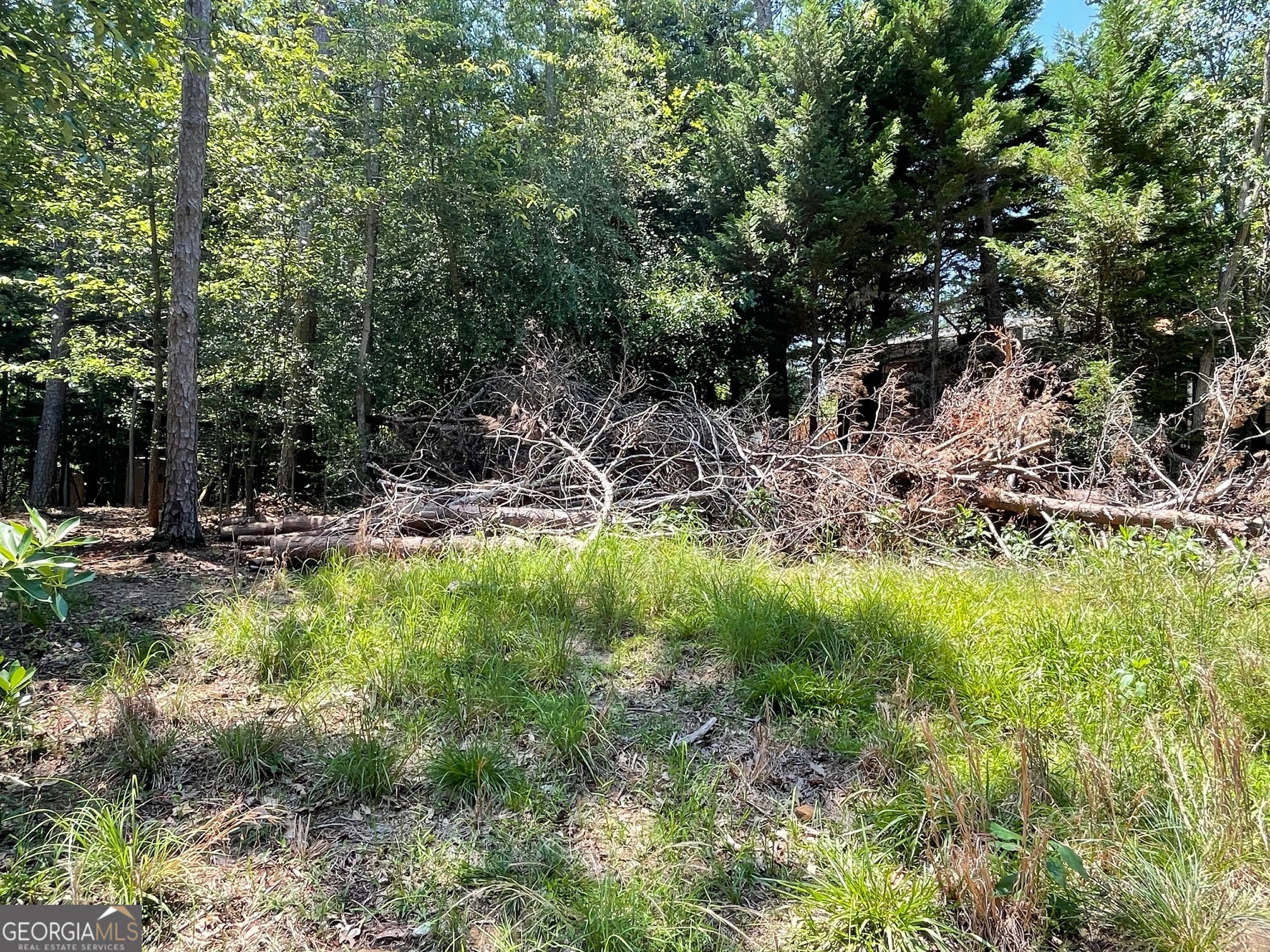 LOT 4 Big Water Circle