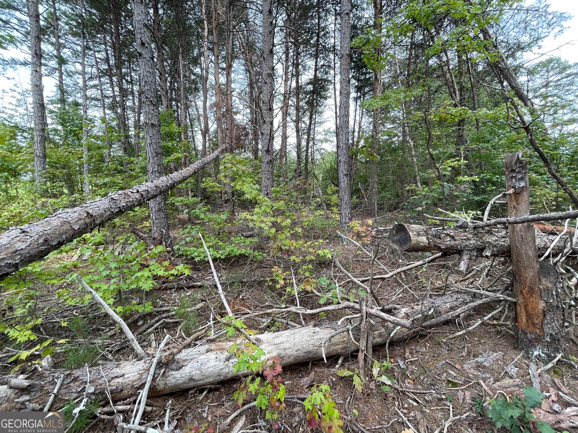 LOT 1125 Bunker Lane
