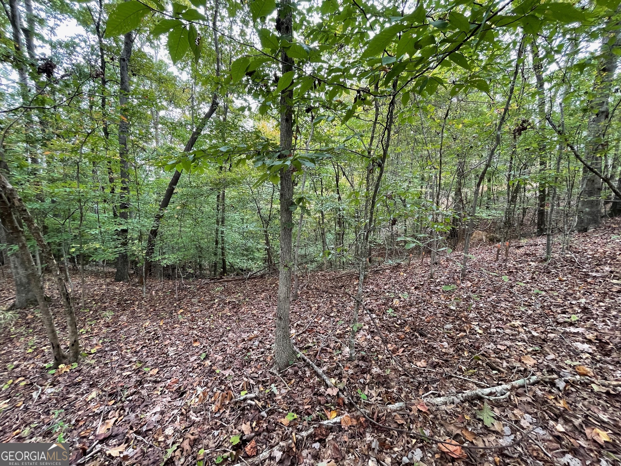 LOT 296 Oconee Avenue