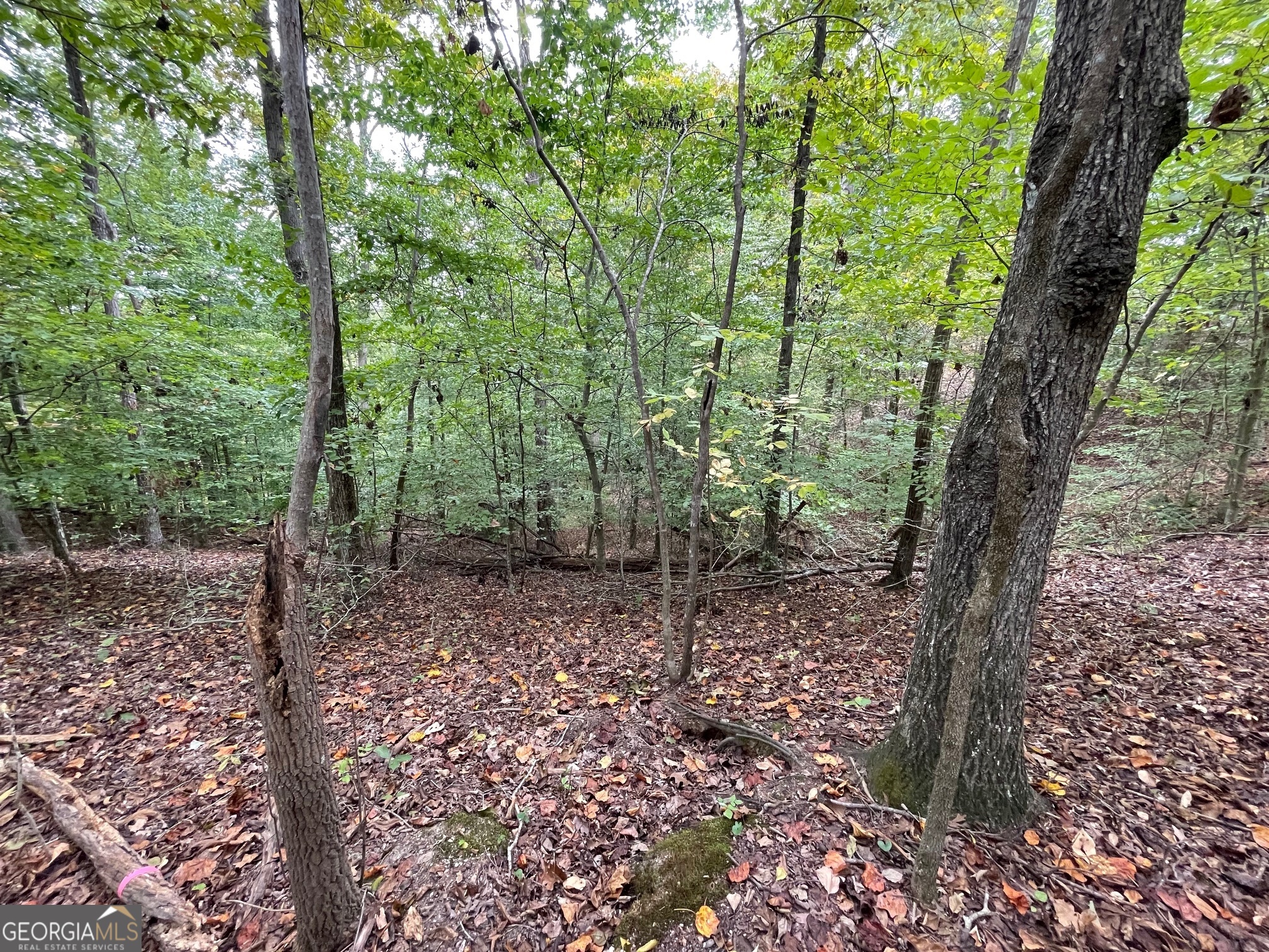 LOT 296 Oconee Avenue