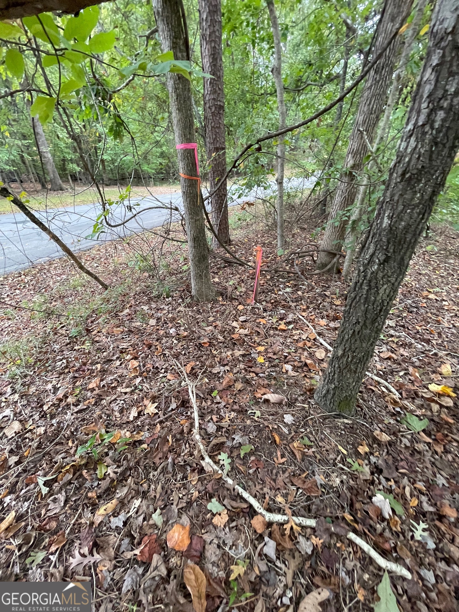 LOT 296 Oconee Avenue