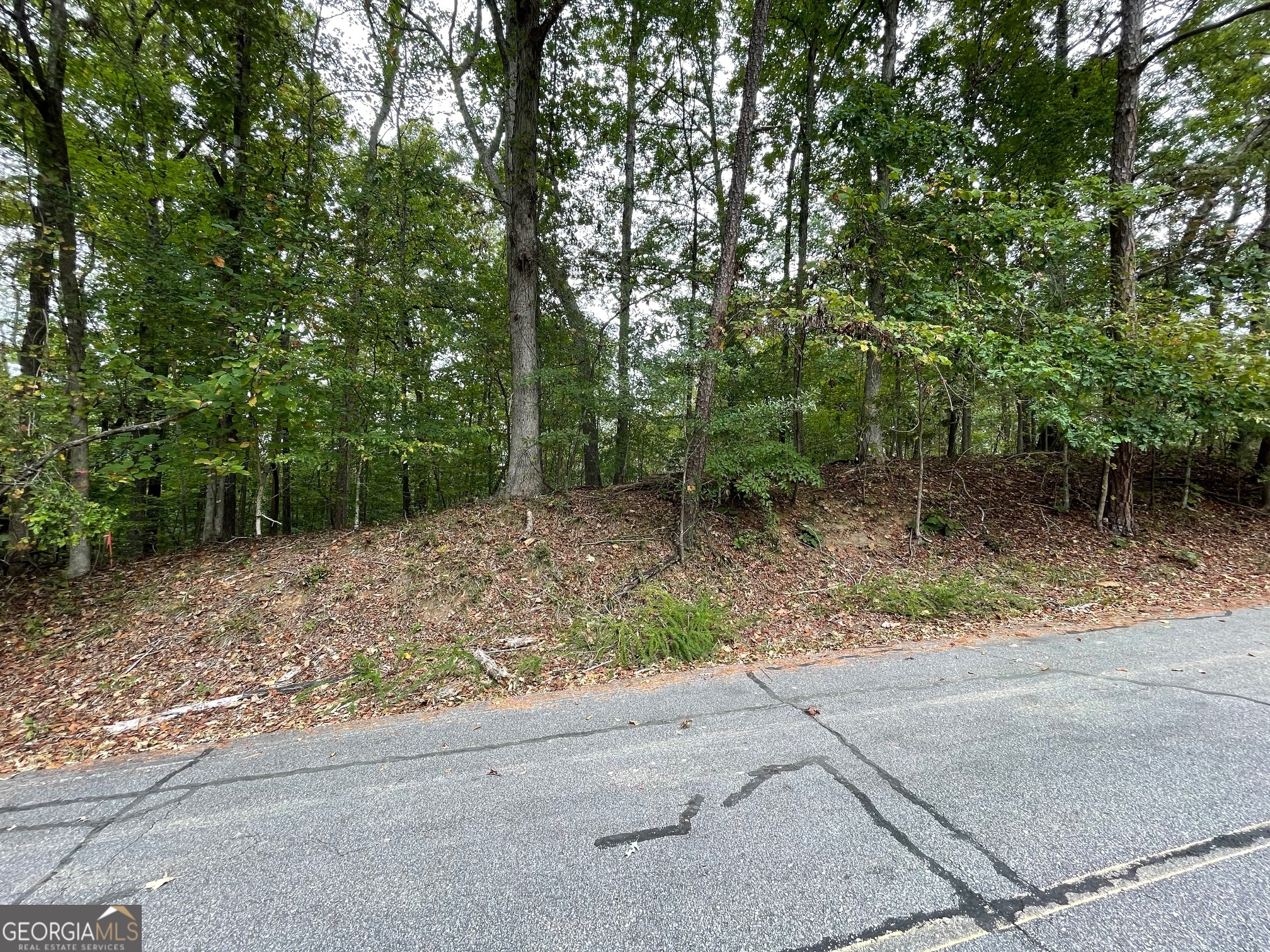 LOT 296 Oconee Avenue