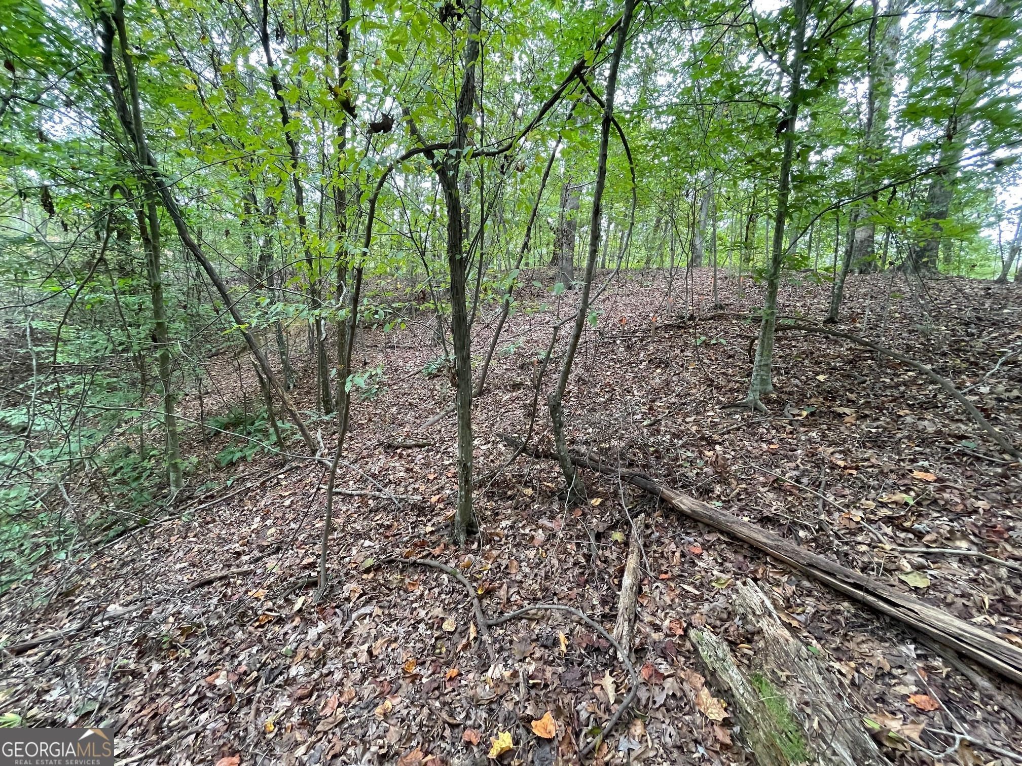 LOT 296 Oconee Avenue
