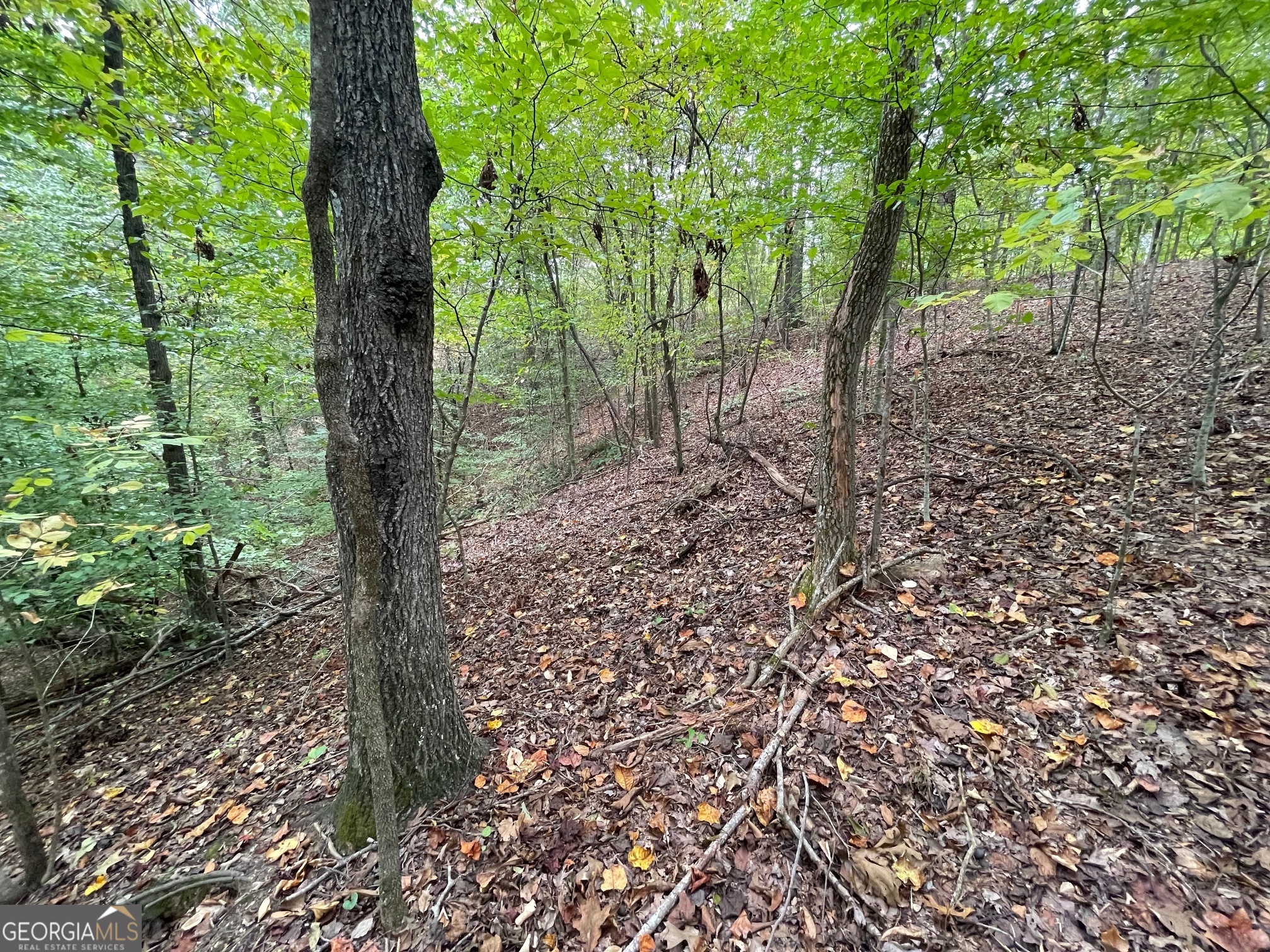 LOT 296 Oconee Avenue