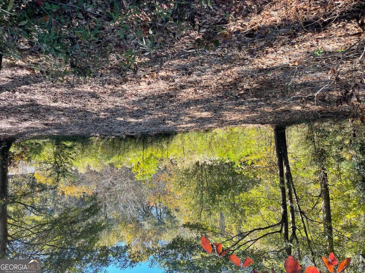 2569 Reed Creek Highway