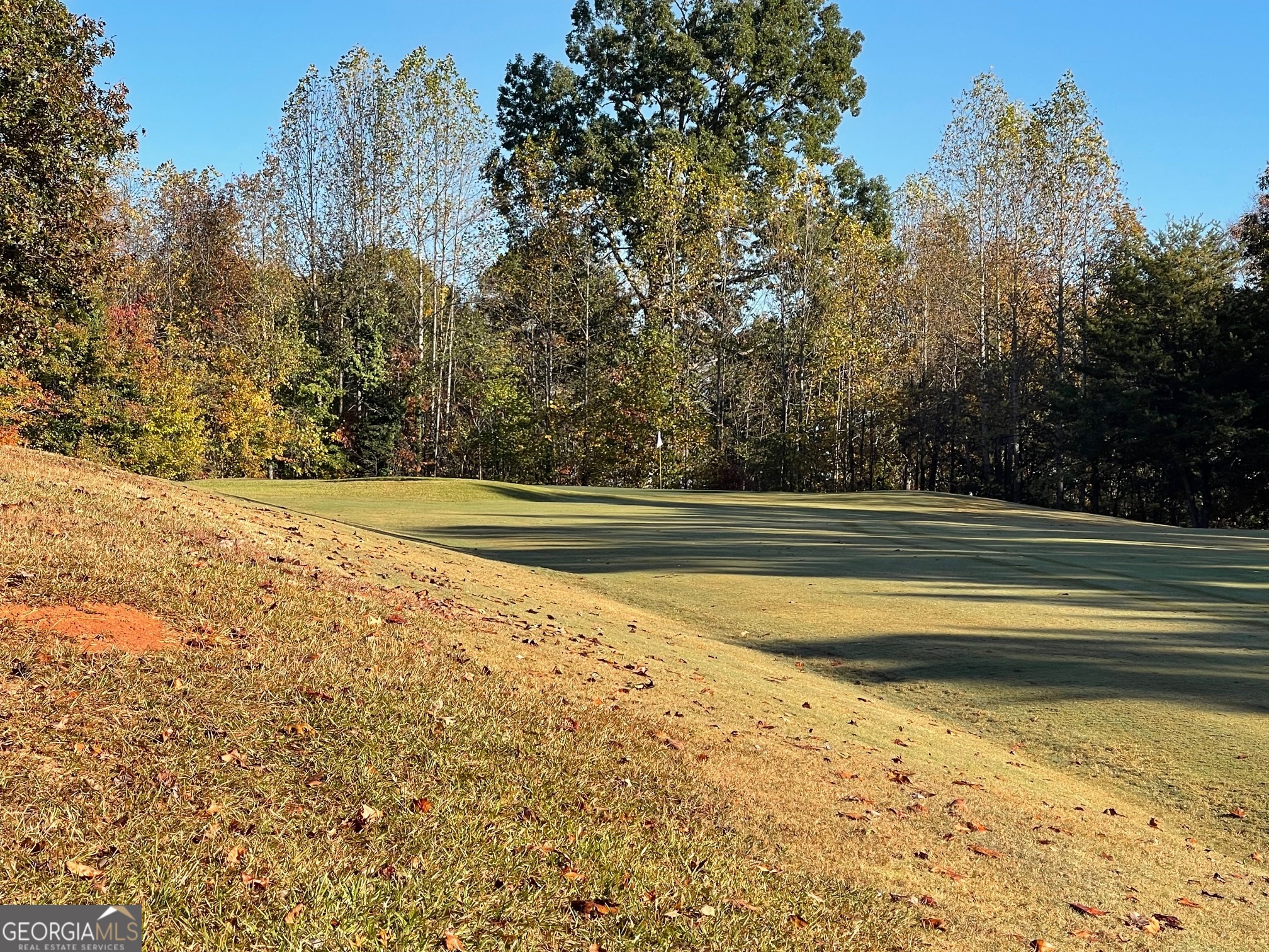 LOT 87 N Foxglove Road