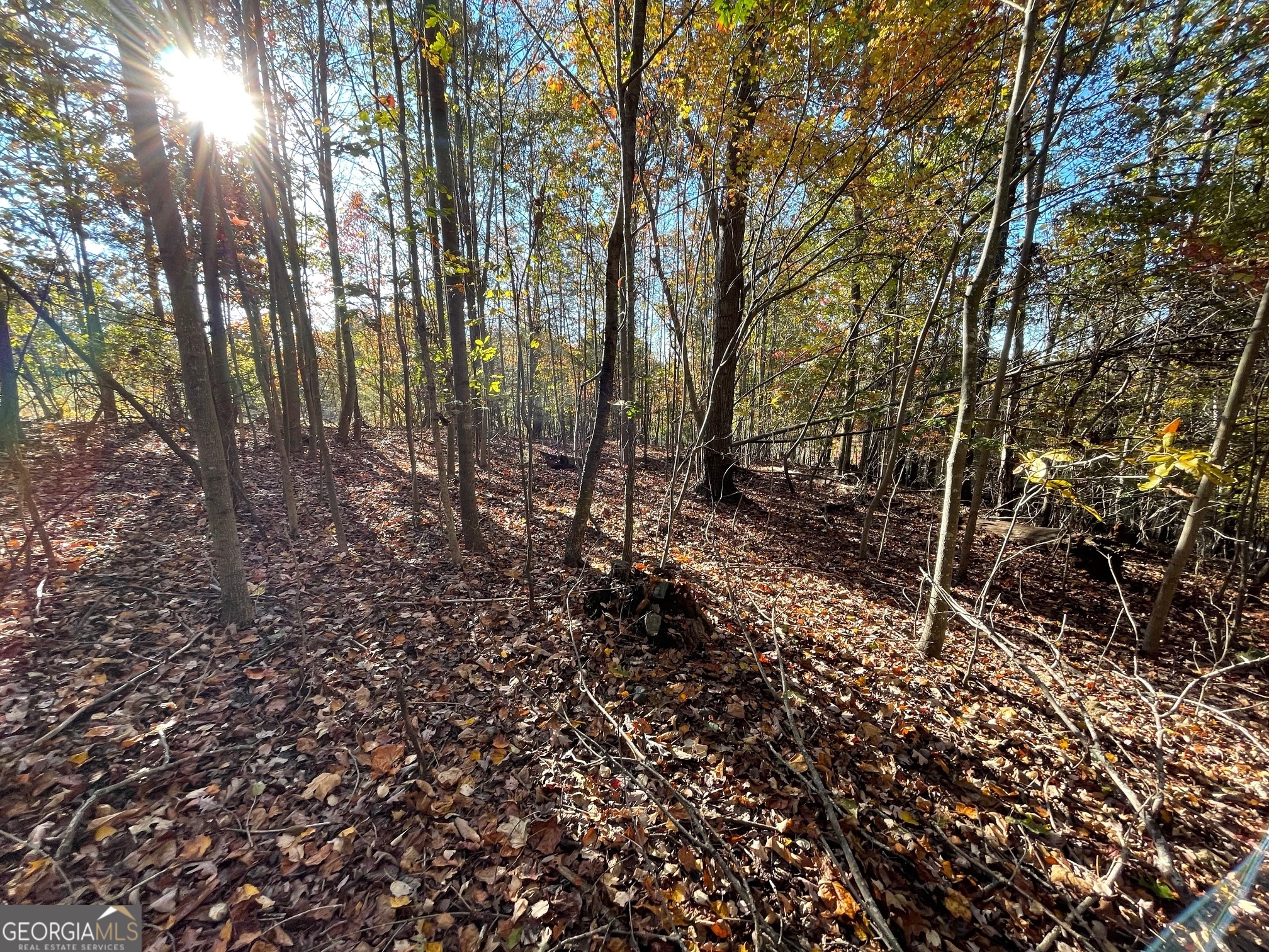 LOT 87 N Foxglove Road