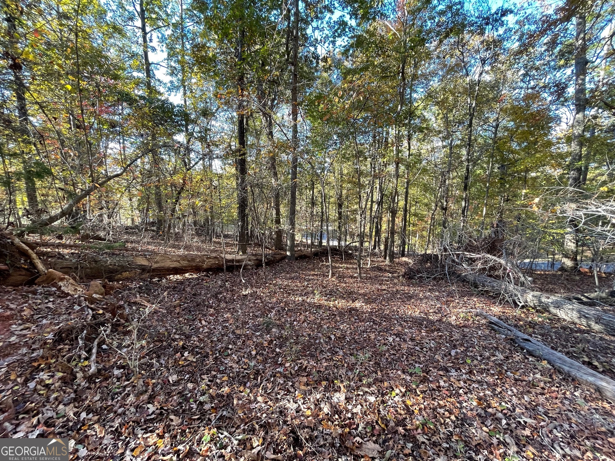 LOT 87 N Foxglove Road